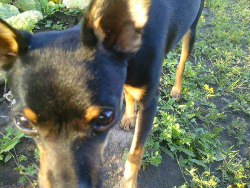 Кристина Зимина | Москва