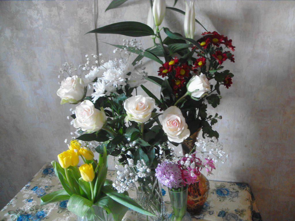 Ольга Погарева | Санкт-Петербург