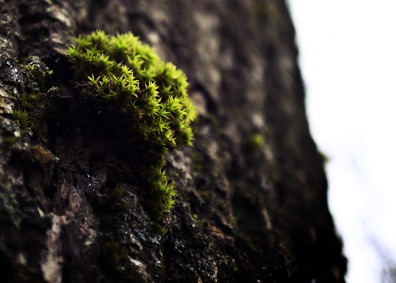 Богдан Дроздов | Белая Церковь