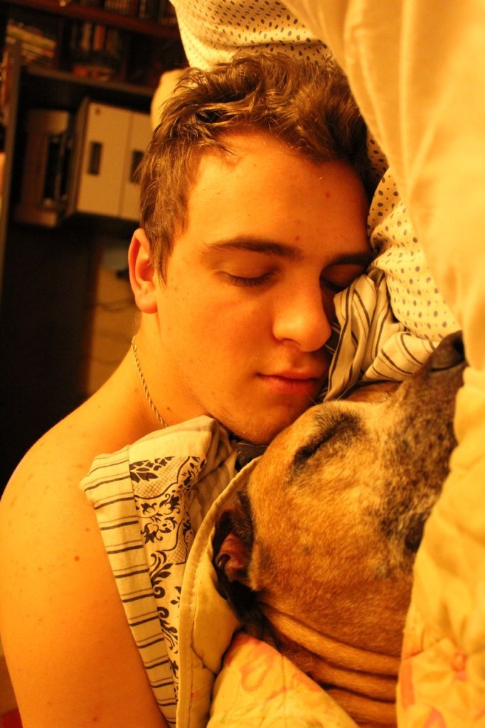 Дмитрий Майоров 