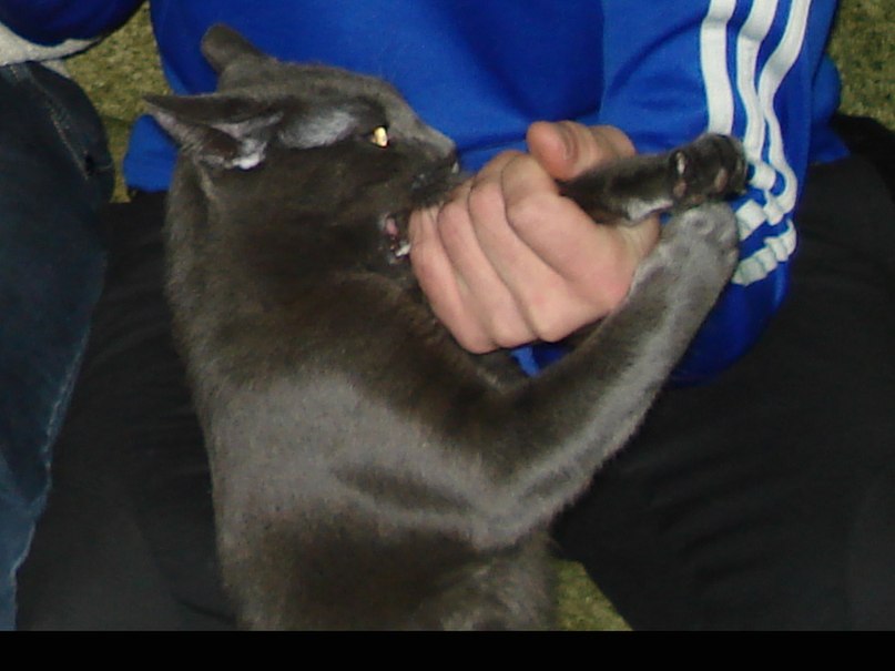 Лёха Сергеев | Нижнекамск