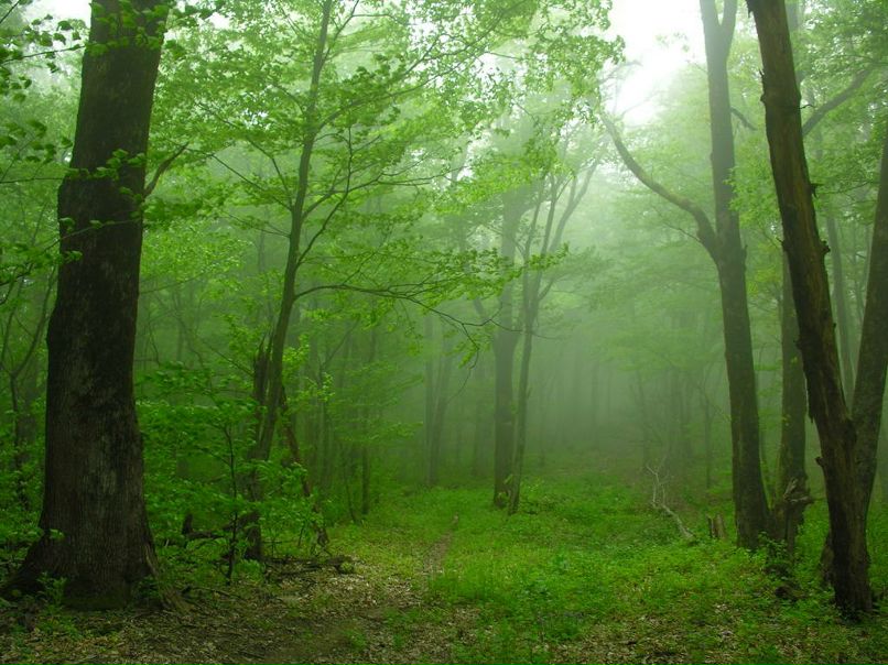 Наталья Ганиева | Tokyo