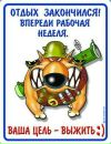 Фотография Викуля Солдатова