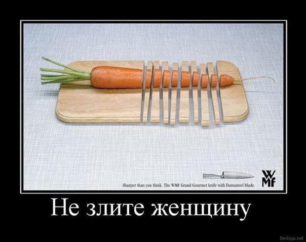 Екатерина Никулина | Выборг