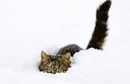 Фотография Кочетковой Юлии