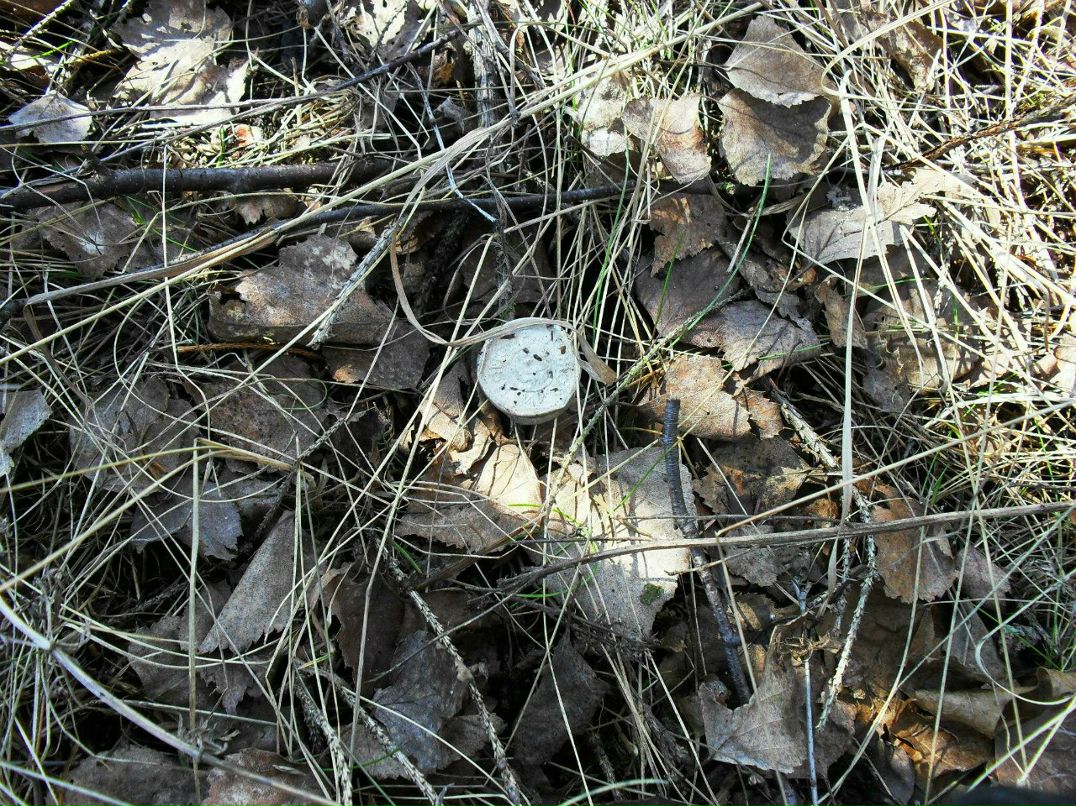 Максим Смирнов | Можайск