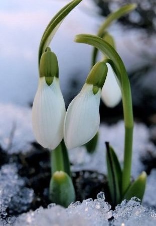 Юрий Могулев | Каменское / Днепродзержинск