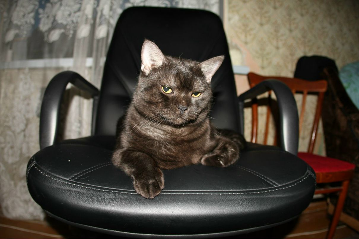 Пеня Осин | Philadelphia