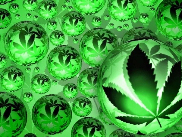 Кирилл Сысоев | Курск