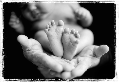 Ирина Попова | Хлевное