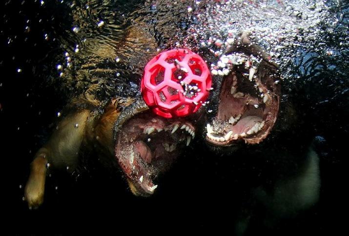 Дмитрий Литовко | Киев