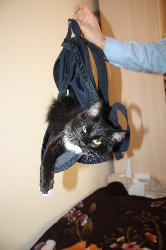 Светлана Рустанова | Ханты-Мансийск