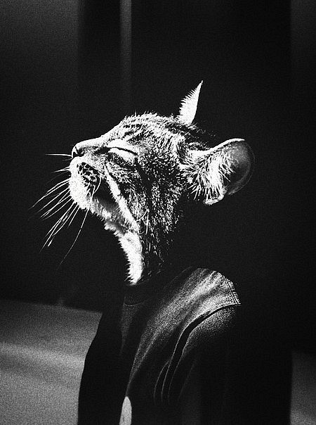 Юлия Проскурина | Краснодар