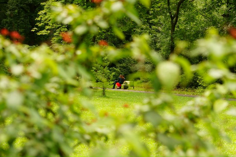 Максим Маус | 