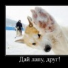 Аватар: Ксюша Любимова