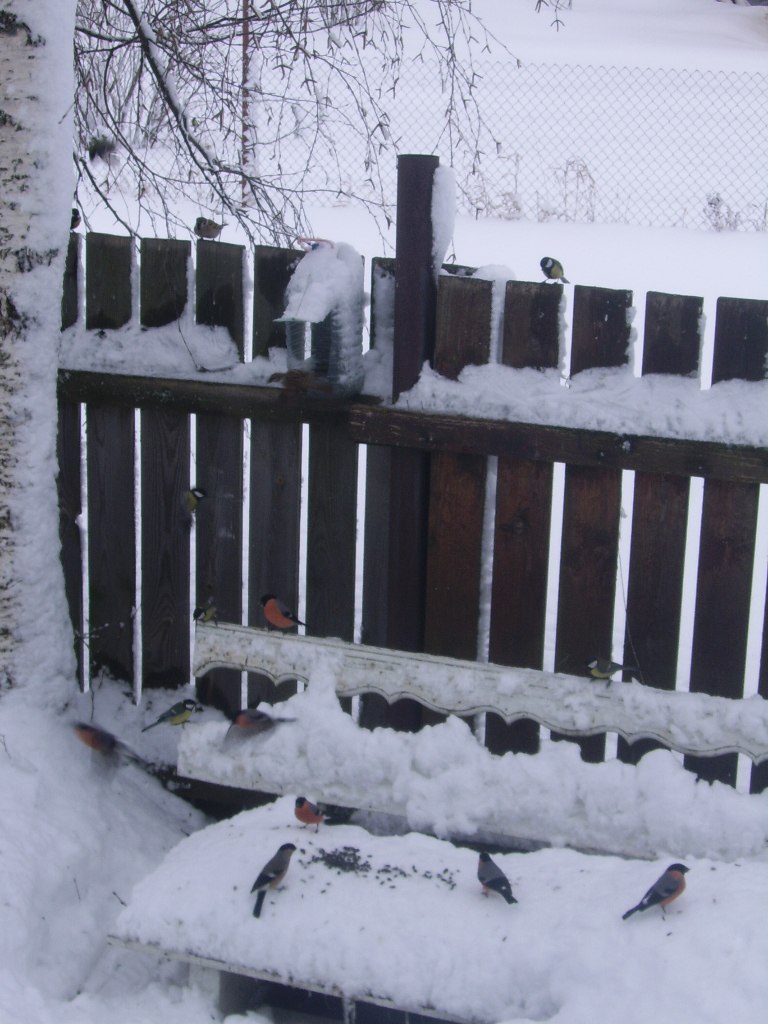 Анастасия Харина | Москва