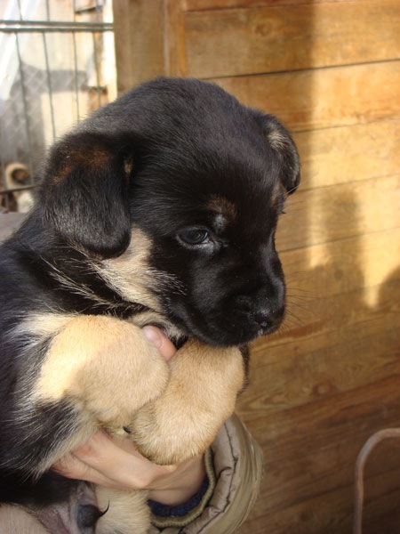 №50, Юлия Пепеляева №50, Юлия Пепеляева