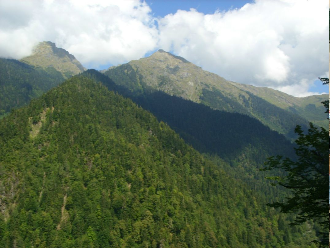 Павел Воробьев | 