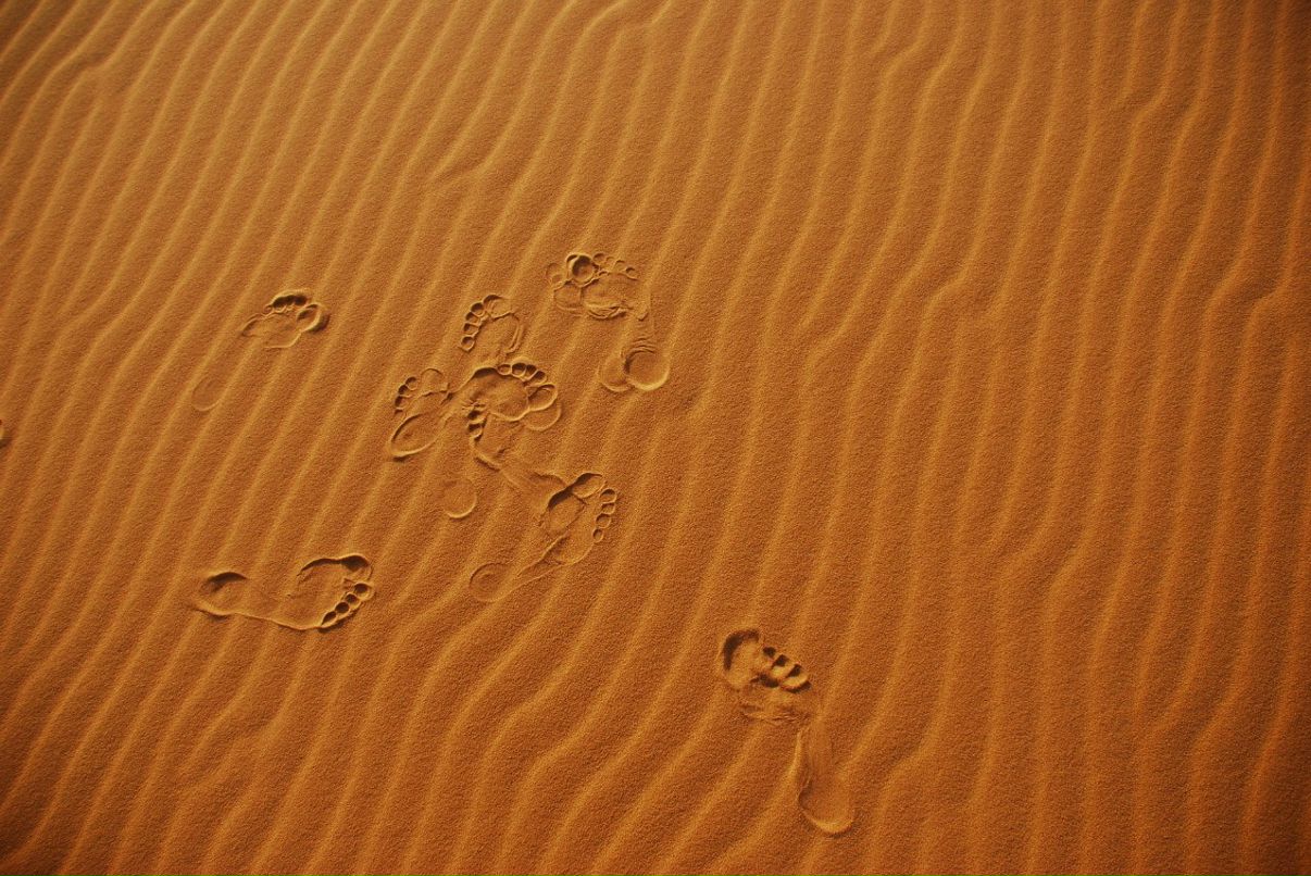 Лидия Кузьмичёва | Москва