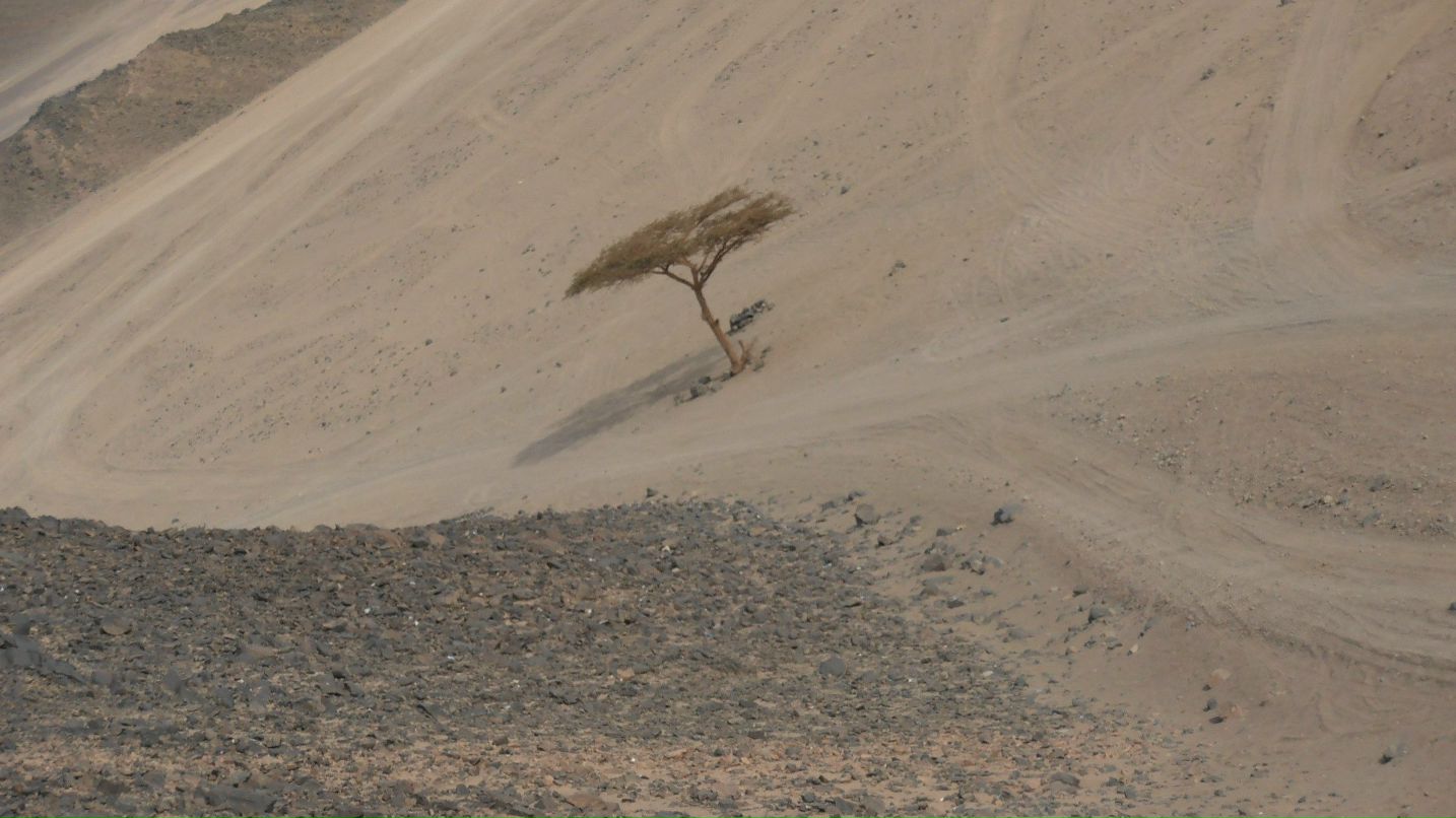 Настя Решетникова | Благовещенск