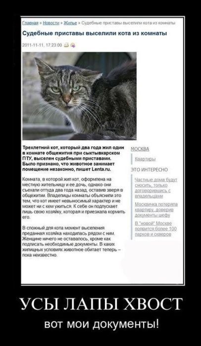 Евгений Бацман ELE©TRO-NI© | Springfield