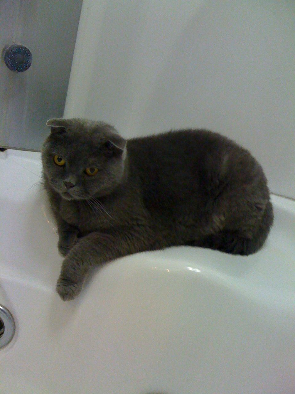 Даян Мурзин | Киев