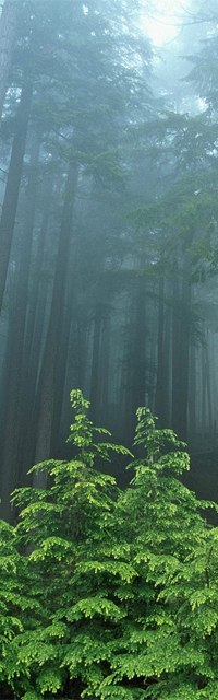 Anton Sokolov lι.ιllιlι.HEETCH | Алматы