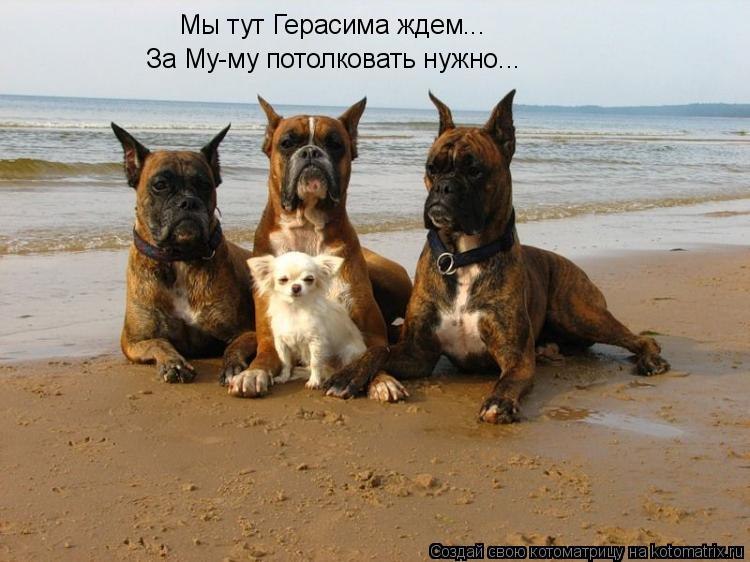 Станислав Леонтьев | Санкт-Петербург