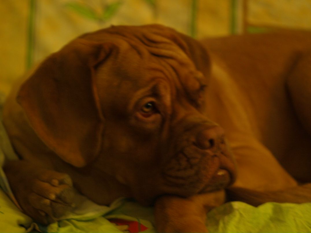 Jorj Dyachek | Одесса