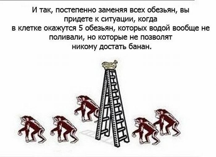 Евгений Макаров | Москва