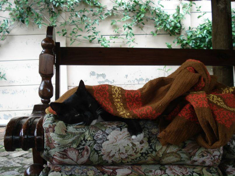 Денис Пасхин | Новосибирск