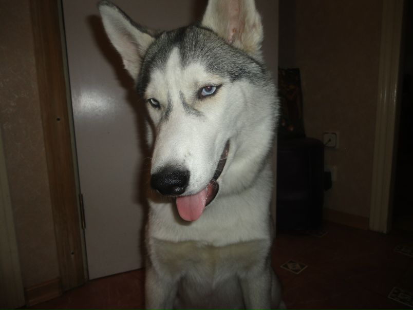 №4, Макс Пешков, 40 лет, Киев №4, Макс Пешков, 40 лет, Киев