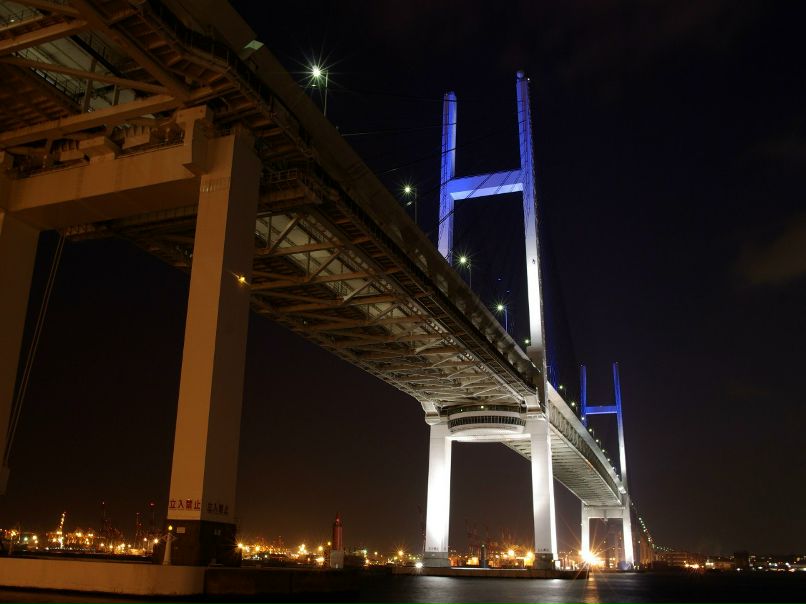 Юлия Тихонова | 