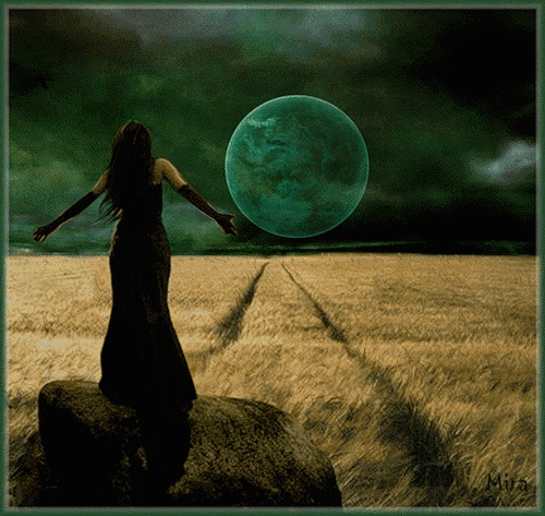 №18, Руслан Джамилов №18, Руслан Джамилов