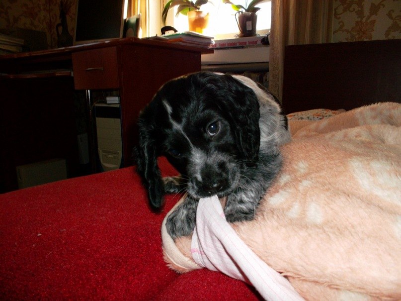 Анастасия Можжерина | Минск