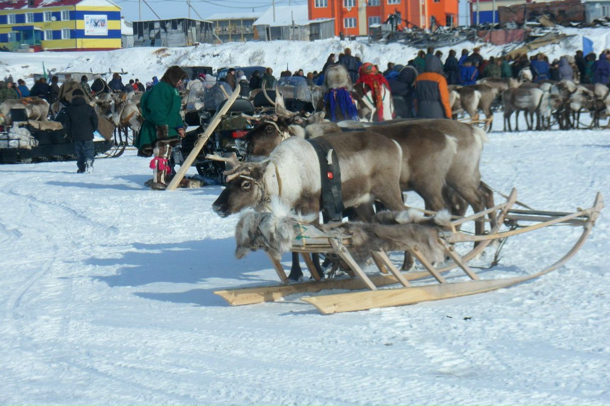 Никита Андреев Дон | Чебоксары