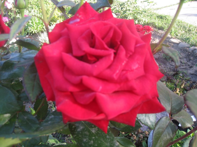 Таня Корчинская | Киев