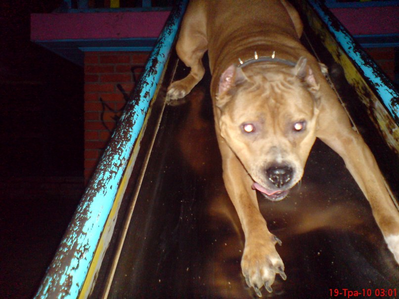 Юрій Гнатюк | 