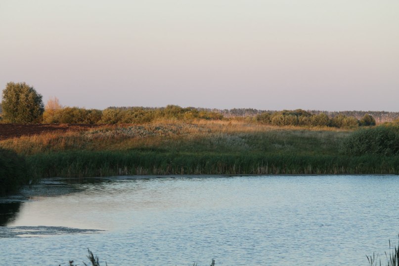 Александр Сурков | Тамбов