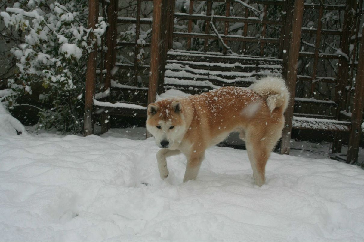 Максим Сабетьев Макс | Симферополь