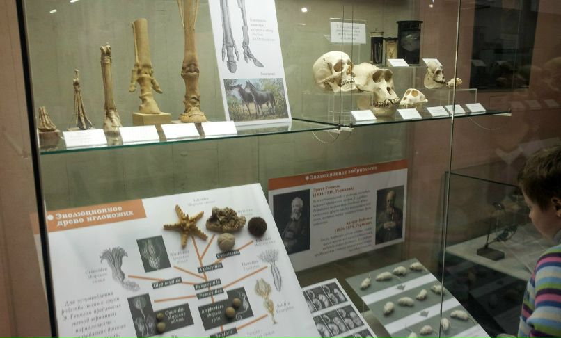 Александр Чернышёв | Москва