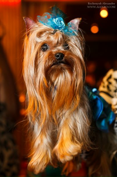 №135, Элеонора Алибаева, Москва №135, Элеонора Алибаева, Москва