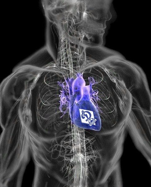 Сергей Топчий | Москва