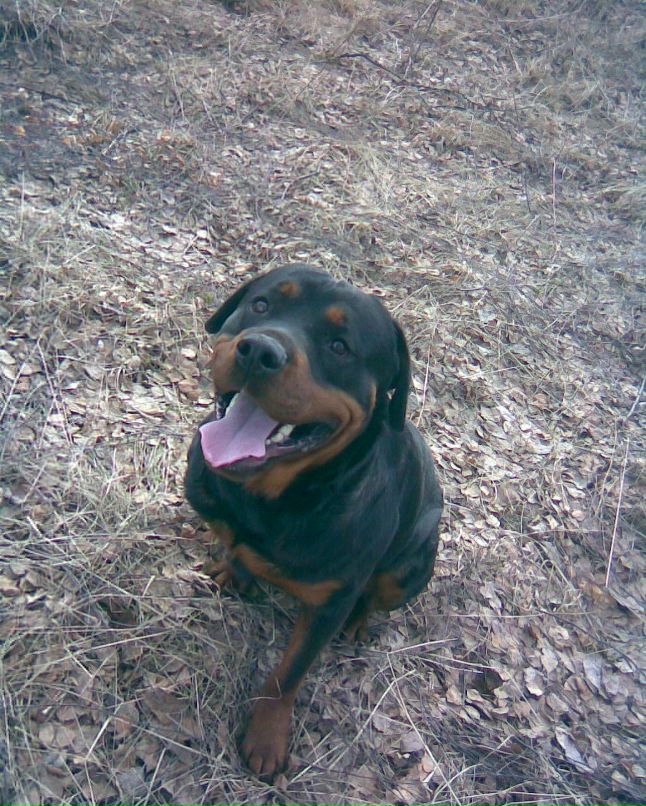 Александр Константинов | Йошкар-Ола