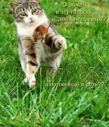 Валерия Гуркина | Москва