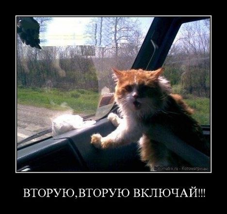 Алёна Михеева | Санкт-Петербург