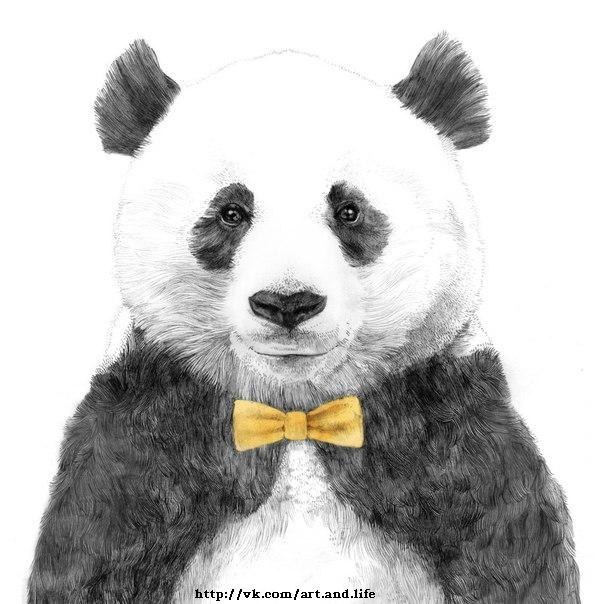 Сергей Асанов | Москва