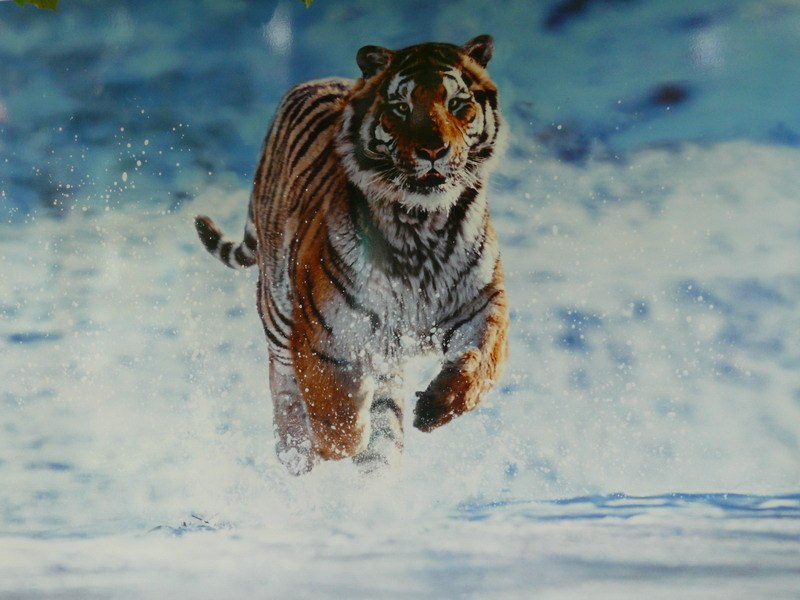 Евгений Коробейников | Екатеринбург