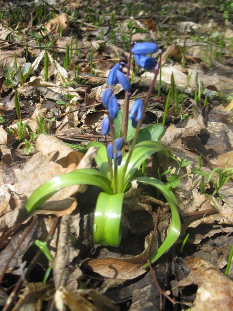 Наталия Хуртак | Санкт-Петербург