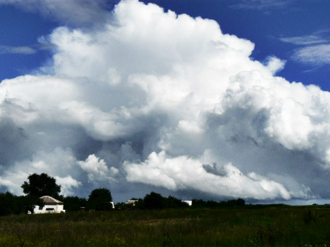 Лина Петренко | Днепр (Днепропетровск)